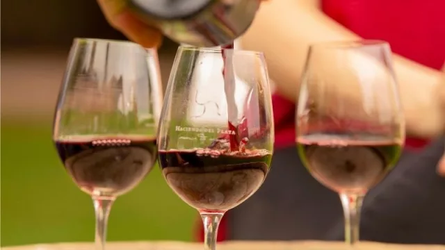 Anticipo de cosecha: el malbec fija precios de referencia en el mercado y se tonifican valores de venta 