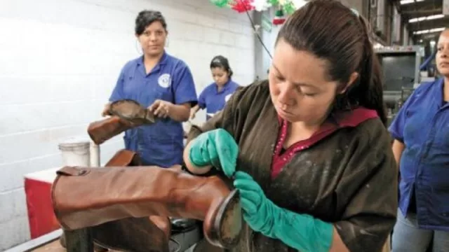 Autonomía de las mujeres: se reciben proyectos productivos para obtener financiamiento