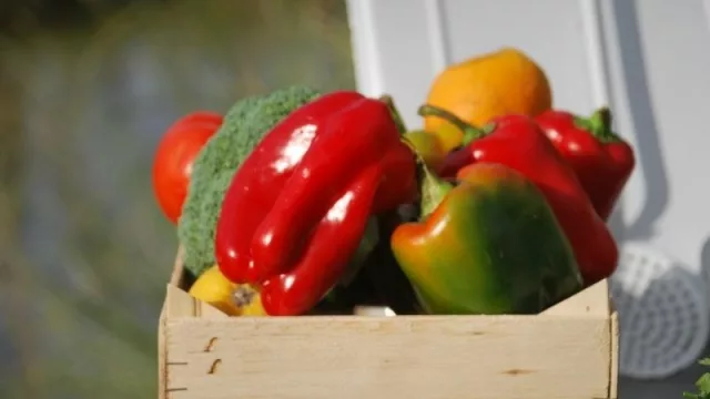 Mercado online de productores mendocinos que llegan directamente al consumidor  