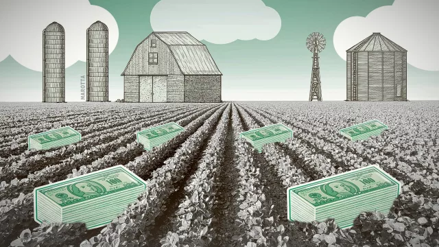 Los ingresos del campo amortiguan el golpe cambiario en la inflación