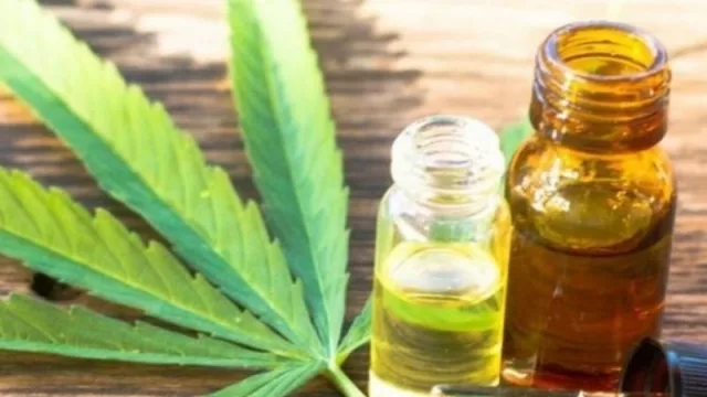 Se realizará en Mendoza la primera investigación sobre consumo de cannabis