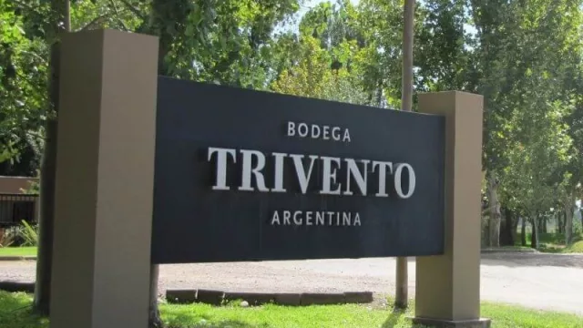 Bodega Trivento ingresa a la comunidad B con cuatro desafíos globales: educación, cambio climático, cuidado del suelo e integridad empresarial