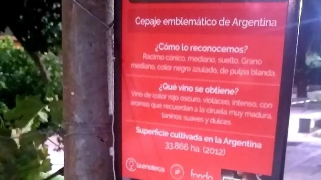 Festejos por el día del Malbec 
