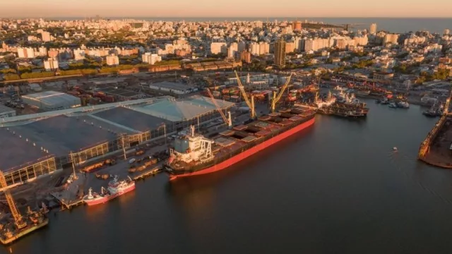 Hasta el último rolo (90.000 toneladas de pino cargados en UY viajan a China)