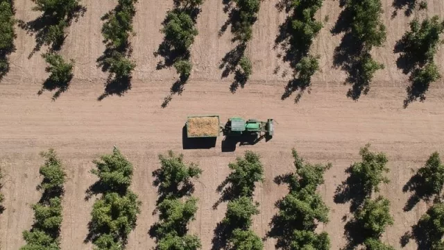 Grupo Metropol presentó QNUTS, la marca agrícola especializada en la producción de frutos secos