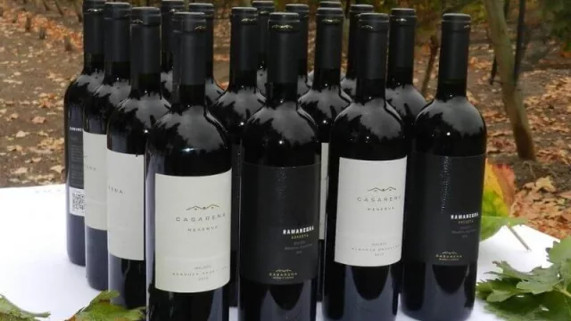 Crecen las exportaciones de vino: Impulsados por los vinos fraccionados se registra una suba de durante marzo  