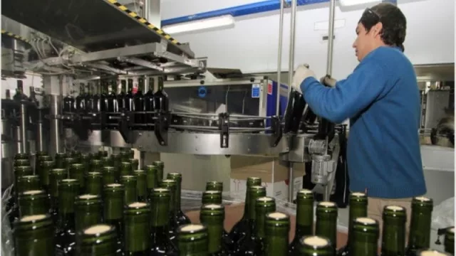 ¿Cómo será el subsidio a la facturación de energía eléctrica para los productores de vino y sidra?