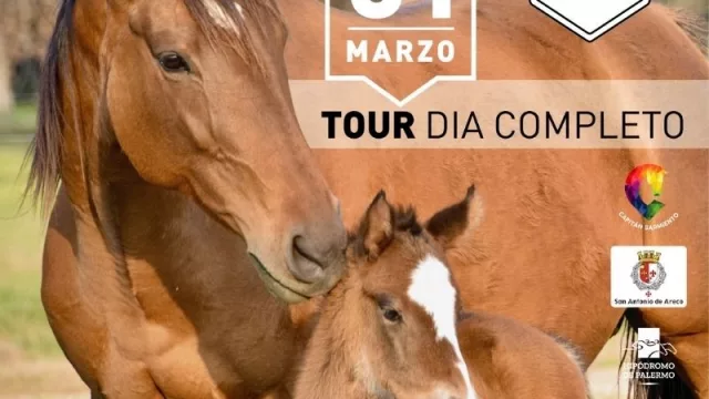 El Hipódromo de Palermo se prepara para el primer tour de la Ruta de los Haras