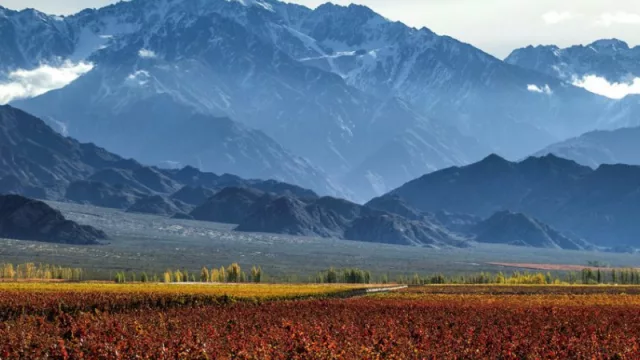 Lanzan en Mendoza un innovador seguro que resguarda toda la vida laboral de un trabajador ¿qué cubre?