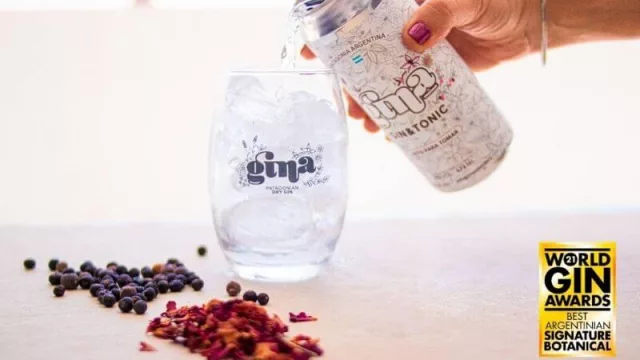 Gina, el primer gin fabricado en Neuquén que no para de ganar premios