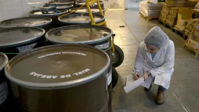 Crecen las exportaciones apícolas