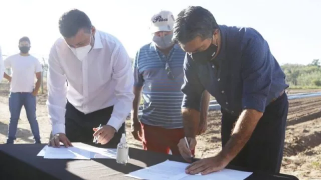 El Grupo Danone utilizará frutillas chaqueñas en sus productos