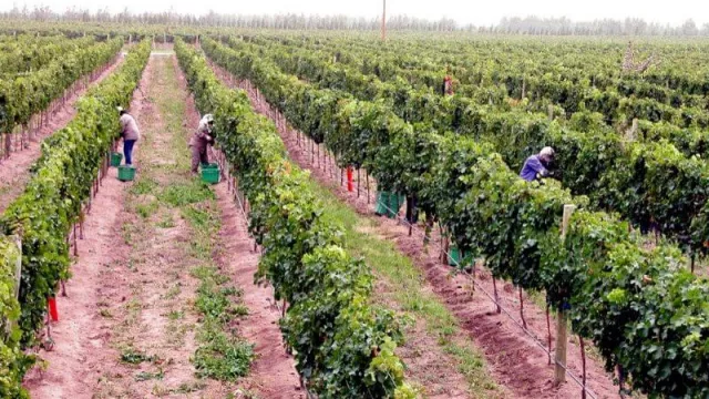 El plan de los vinos argentinos de exportar 1000 M para 2023 se enfrenta a su peor traba