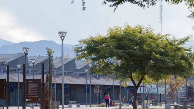 Capital comienza la campaña de vacunación contra el COVID-19 (todo lo que necesitas saber)