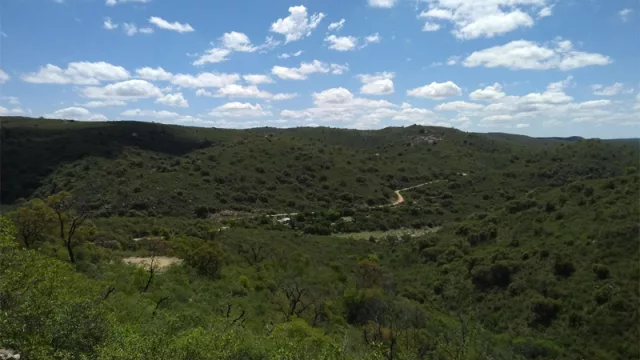 Narvaezbid se prepara para una megasubasta de inmuebles en Córdoba, Buenos Aires, Mendoza y Uruguay (lotes desde $ 245.000)