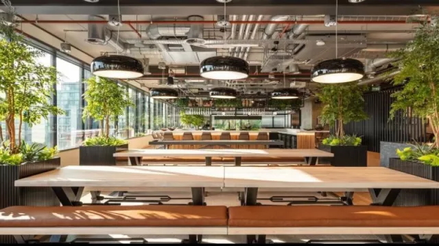 Qué es la neuroarquitectura y por qué aplicarla en tu empresa puede hacer más felices a tus empleados