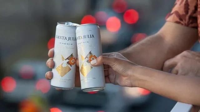 A un año del vino en lata en Argentina ¿cómo le fue en números? (y que se espera en 2021)