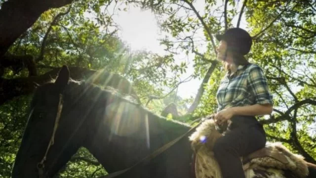 Mejor de lo esperado: En Salta el turismo dejó $1.000 millones durante enero