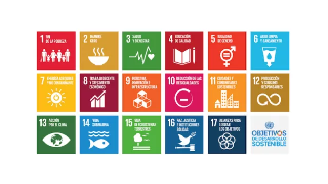 ¿Cómo hacer tu producto sostenible en una economía circular? (los desafíos de alcanzar las metas para el desarrollo sostenible)