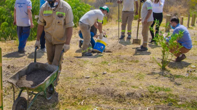 Córdoba, referente en políticas de remediación ambiental