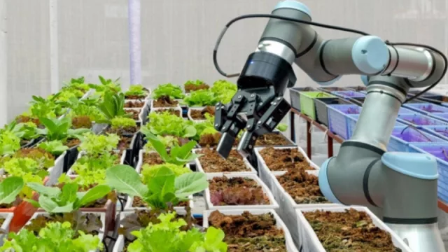 Mendoza abre convocatoria de créditos blandos para proyectos de alto impacto tecnológico ¿Quiénes se pueden postular?