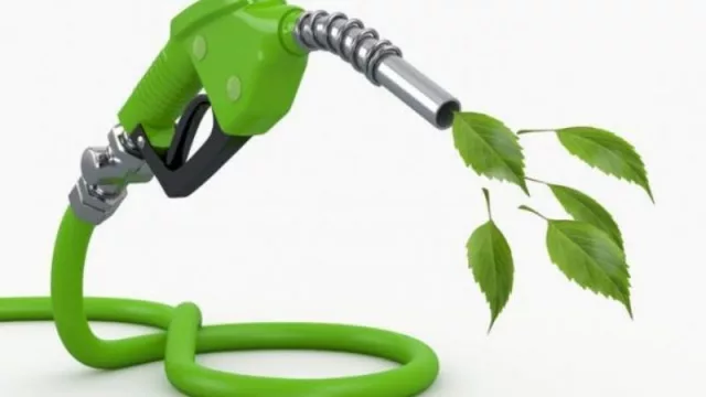 ¡Urgente! Piden que se prorrogue la ley de Biocombustibles