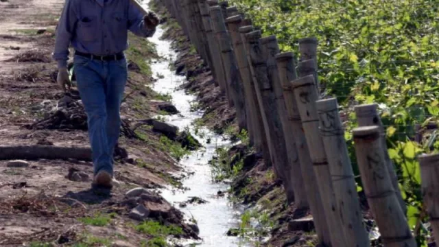 Mendoza lo más alto: Forbes eligió a la provincia como uno los principales destinos del mundo para conocer en el 2021