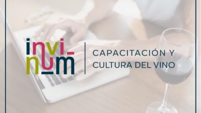 Para ampliar conocimientos: se presenta un curso de elaboración de vinos en Pequeñas Bodegas