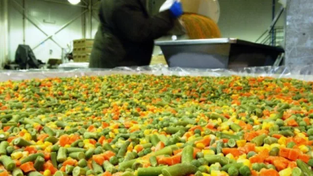 Una buena para Mendoza: la exportación de hortalizas industrializadas sigue creciendo