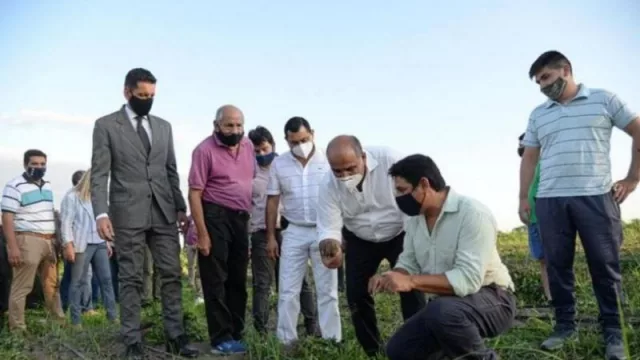 Cooperativa tucumana recibió inversión millonaria para una fábrica de batata