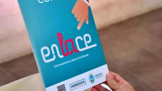 Programa Enlace: busca sumar jardines maternales para el entrenamiento laboral