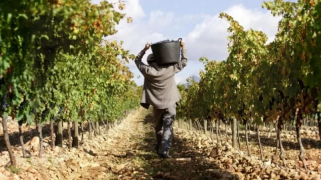 La COVIAR y el Ministerio de Economía de la provincia dieron inicio a su agenda trabajo 2021