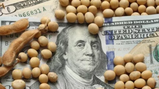 ¿Dólar o soja?: cómo invertir en el grano y aprovechar el rally de 52% en 9 meses