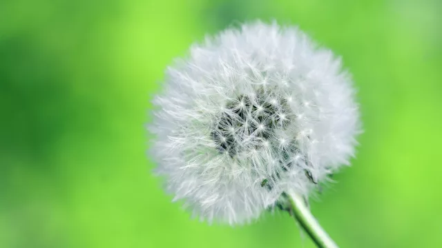 ¿Salud, Dinero o Amor?