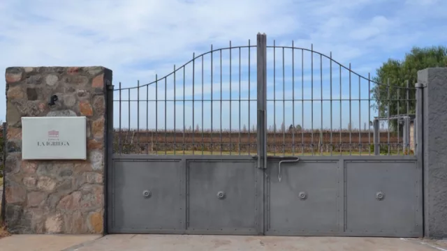 La Igriega amplía su propuesta y suma a la familia el nuevo Cabernet Franc