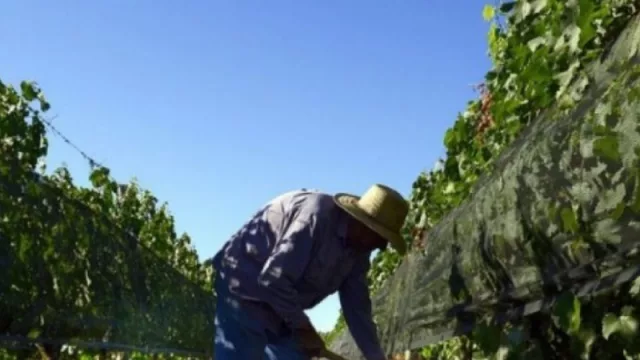 La Coviar y el BID firmaron un acuerdo para la realización de estudios en los oasis de regadío de Mendoza, San Juan y Salta