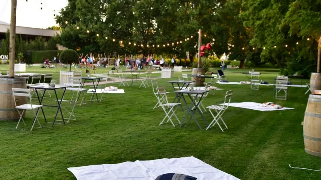Yoga para despedir el año: llega “Mendoza vibra en Modo Zen” en bodega Chandon