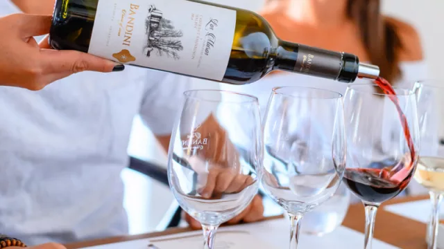 Cita para el fin de semana largo, Finca Bandini reabre al turismo