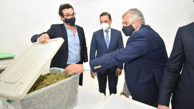  Vanguardia en cannabis: reactivación de sentidos de las políticas productivas en Jujuy