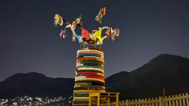 A Tree To Breathe, la ONG ambiental celebra un año de acciones e importantes hitos en Mendoza y el Mundo 