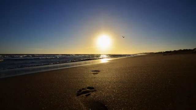Mariano Uset: “Pretendo recibir a los turistas y que se vuelvan sanos a sus sitios de origen”