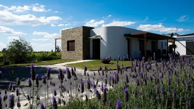  No todo está tan mal en el turismo uruguayo (en cuatro meses Jetmar creció 1.000%)