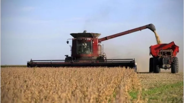 Por el impuesto a la riqueza, el campo perdería exportaciones por u$s 2400 millones