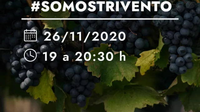 Trivento presenta “Somos Sustentables”, su primer conversatorio para debatir sobre sustentabilidad en el sector vitivinícola