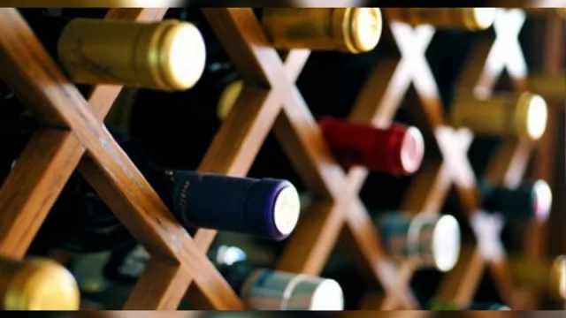 Contra todo pronóstico: la industria vitivinícola argentina aumentó sus exportaciones un 46,3% en pandemia