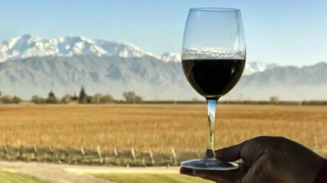  Las provincias de la región buscan defender la marca "Patagonia"