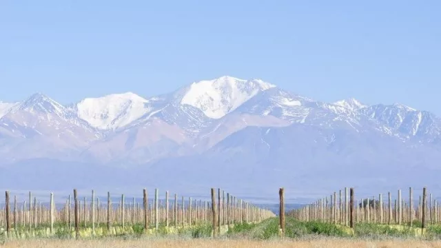 Nuevo emprendimiento inmobiliario en el Valle de Uco: lanzaron Tupungato Valley, un barrio privado entre viñas que tienta a inversores