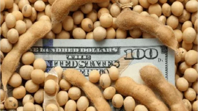 El campo ve algunas señales positivas y piensa en liquidar más exportaciones