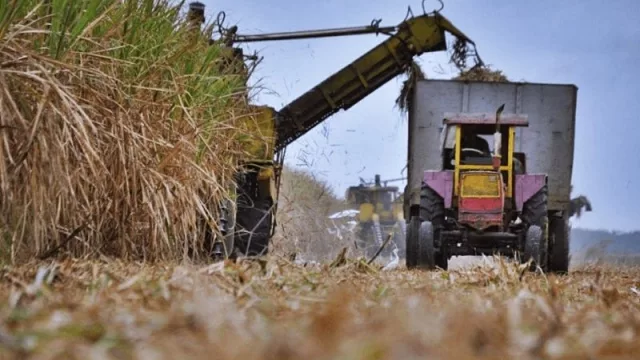 Zafra 2020: la mayoría de los ingenios ya hicieron sonar sus sirenas de fin de ciclo
