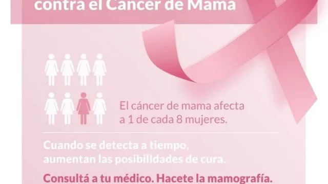 Día Contra el Cáncer de Mama: la detección temprana tiene una posibilidad de cura del 95%
